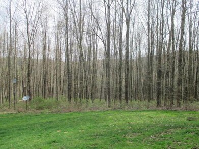 3242 County Road 739, Loudonville, OH 44842 - photo 5