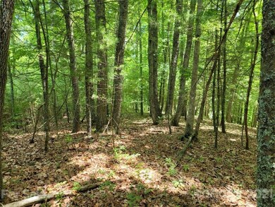 000 Arrowhead Ln unit 14, Burnsville, NC 28714 - photo 7