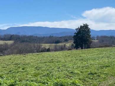 IMG_4179