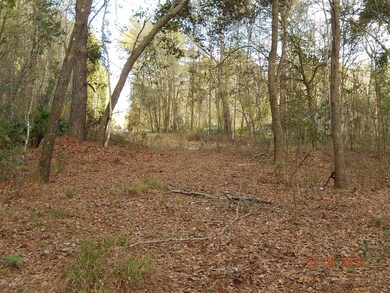 0000 Lightning Ln, Middleburg, FL 32068 - photo 7