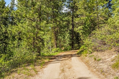 Road Leading Up to Property