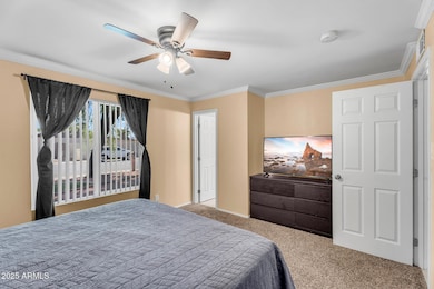 4902 W Sheridan St, Phoenix, AZ 85035 - photo 7