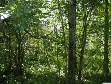 0 Adams Rd unit 144252, Coxsackie, NY 12051 - photo 2