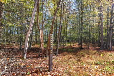 0 Cygnus Rd, Salem Township, PA 18436 - photo 2