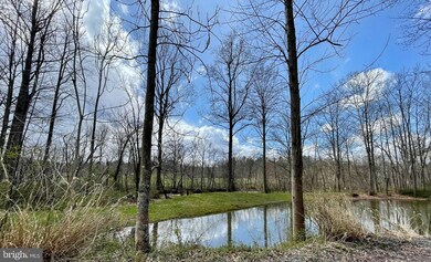 26 Silverstone Ln, Berkeley Springs, WV 25411 - photo 4