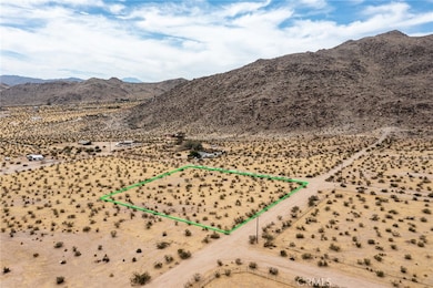 4225 Benji Ave, Joshua Tree, CA 92252 - photo 3