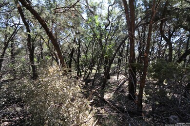 21710 Vale Pass, San Antonio, TX 78255 - photo 6