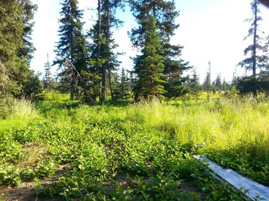 20140727_192641