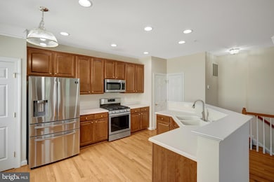 13576 Davinci Ln unit 78, Herndon, VA 20171 - photo 6