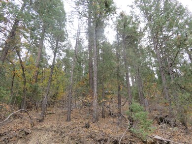 The Property