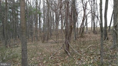 0 Shangri-La Rd unit 1000196351, Bentonville, VA 22610 - photo 4