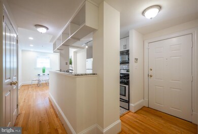 1807 California St NW unit T1, Washington, DC 20009 - photo 7