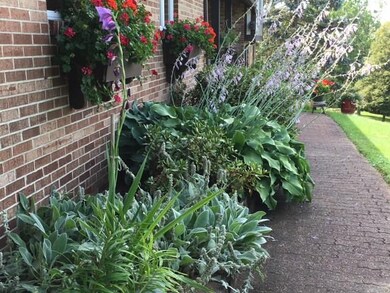 Perfect landscaping