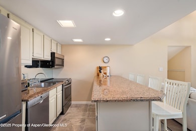 800 S Mill St unit 301, Aspen, CO 81611 - photo 7