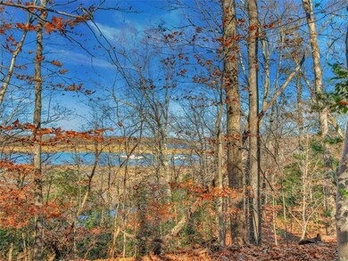 TBD Marina Dr, Surry, VA 23842 - photo 2