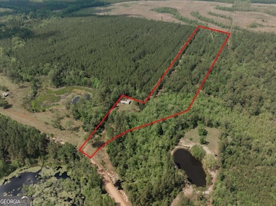 0 Dm Tillman, Baxley, GA 31513 - photo 3