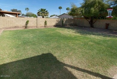 grassy play area