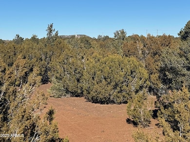 #5 Skyline Ranch -- unit 5, Vernon, AZ 85940 - photo 4