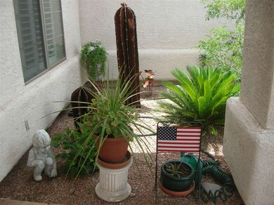 FRONT PATIO / GARDEN