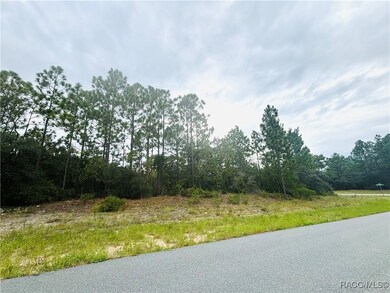 4021 W Malaluka Cir, Dunnellon, FL 34433 - photo 5