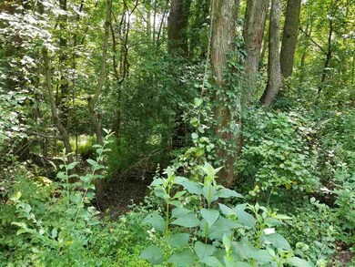 0 Moore Mountain Rd unit 2401556, Baldwin, NC 27312 - photo 7