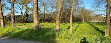 1607 Richardson Rd N, Lewisburg, TN 37091 - photo 6