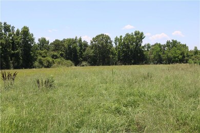 Lot 16 Zack Magee Rd, Franklinton, LA 70438 - photo 4