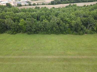 Lot # 7 Oak Bend Subdivision, Cairo, GA 39828 - photo 7