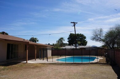 Backyard (1)