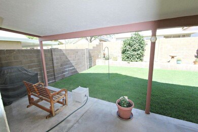 Backyard 2