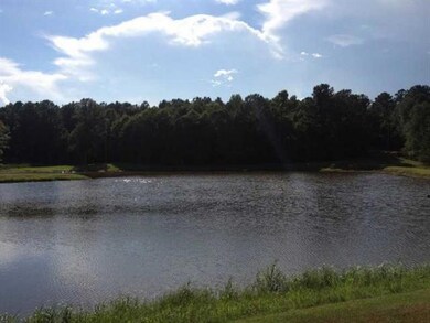 Photo. Pond