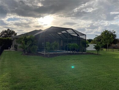 REAR VIEW / SUNSET