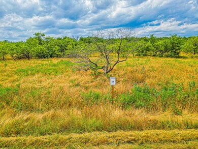Lot 15 Grison Cir, Corsicana, TX 75109 - photo 3