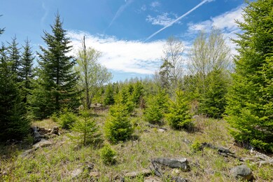 03-33CliffRd-lot-AT