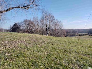 1470 Old Bloomfield Rd, Vienna, IL 62995 - photo 6