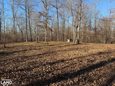 8951 County Rd 11, Florence, AL 35633 - photo 5