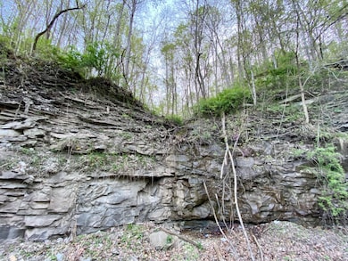 0 Mountain Pkwy unit 23007188, Salyersville, KY 41465 - photo 4