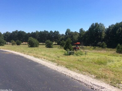 LOT 11 Cr 7612, Brookland, AR 72417 - photo 3