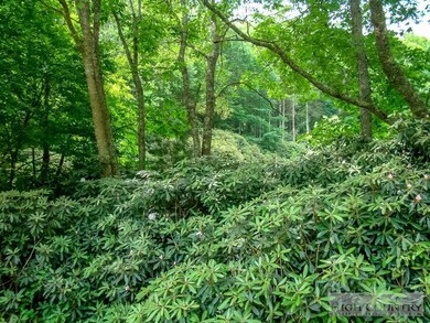 6822 Railroad Grade Rd, Todd, NC 28684 - photo 4