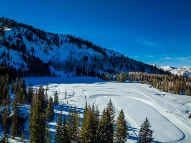 20220110-DJI_0214