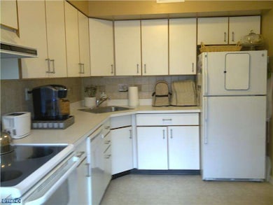 138 Montrose Ave unit 58, Bryn Mawr, PA 19010 - photo 4