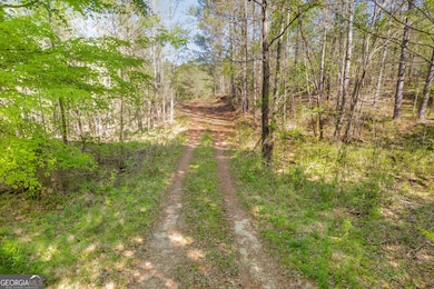 0 Lipham Rd unit 10505011, Franklin, GA 30217 - photo 2