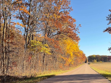 40 acre Tryba Rd, Reid, WI 54440 - photo 4