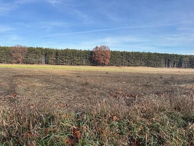 0 Seymour Rd unit Parcel D, Grass Lake, MI 49240 - photo 3