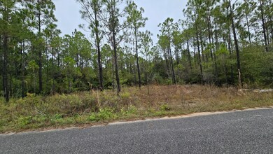 LOT 23 Madie Ln, Santa Rosa Beach, FL 32459 - photo 2