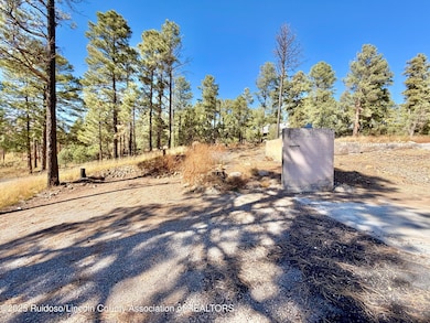 111 Pine Cone Ln, Alto, NM 88312 - photo 3