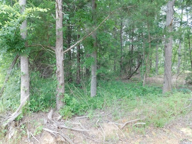 View of nature featuring a view of trees