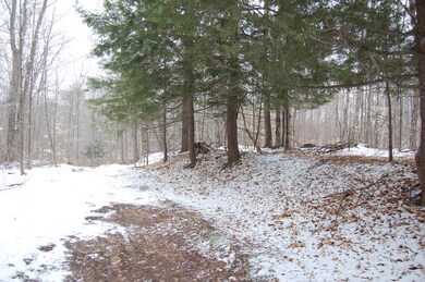 trails through the woods