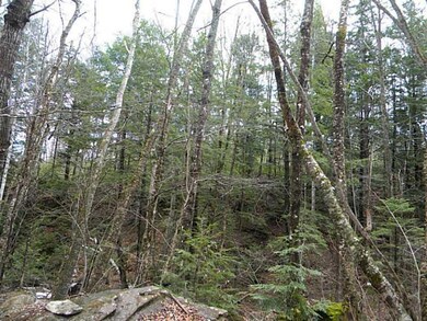 Land/Lot.