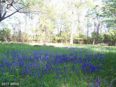 35321 Snake Hill Rd, Middleburg, VA 20117 - photo 7